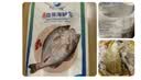 仙泉湖三去白蕉海鲈鱼1斤/条净膛刺少肉厚珠海特产500g海鲜水产生鲜食材 实拍图