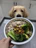 力狼狗粮 纯然金毛阿拉斯加拉布拉多萨摩耶马犬德牧中大型犬粮 自护成长｜特添羊乳｜经典幼犬40斤 实拍图