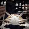 【冷冻】至鲜梭子蟹2.6斤/7-9只整只当季液氮冷冻2.5-5两/只吕四黄海螃蟹新鲜 实拍图