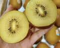 佳沛（zespri）新西兰金奇异果8粒特大果124-146g猕猴桃水果礼盒 实拍图