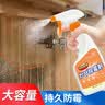 空消木材家具除霉剂木衣柜木床地板竹藤制品实木柜子消除霉菌霉斑清洁 实拍图