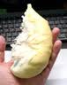 佳沃（JOYVIO）泰国进口冷冻金枕头榴莲肉单盒净重220g 冷冻榴莲 实拍图