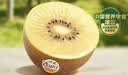 佳沛（zespri）金奇异果25-27粒原箱特大果124-146g猕猴桃水果礼盒 实拍图