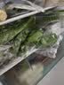 大芹菜约500g 实拍图