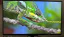 TCL32英寸4K超清QD-MiniLED2304分区 XDR2200nits 165Hz Type-C90W 智能电视系统电脑显示器32C3A Pro 实拍图