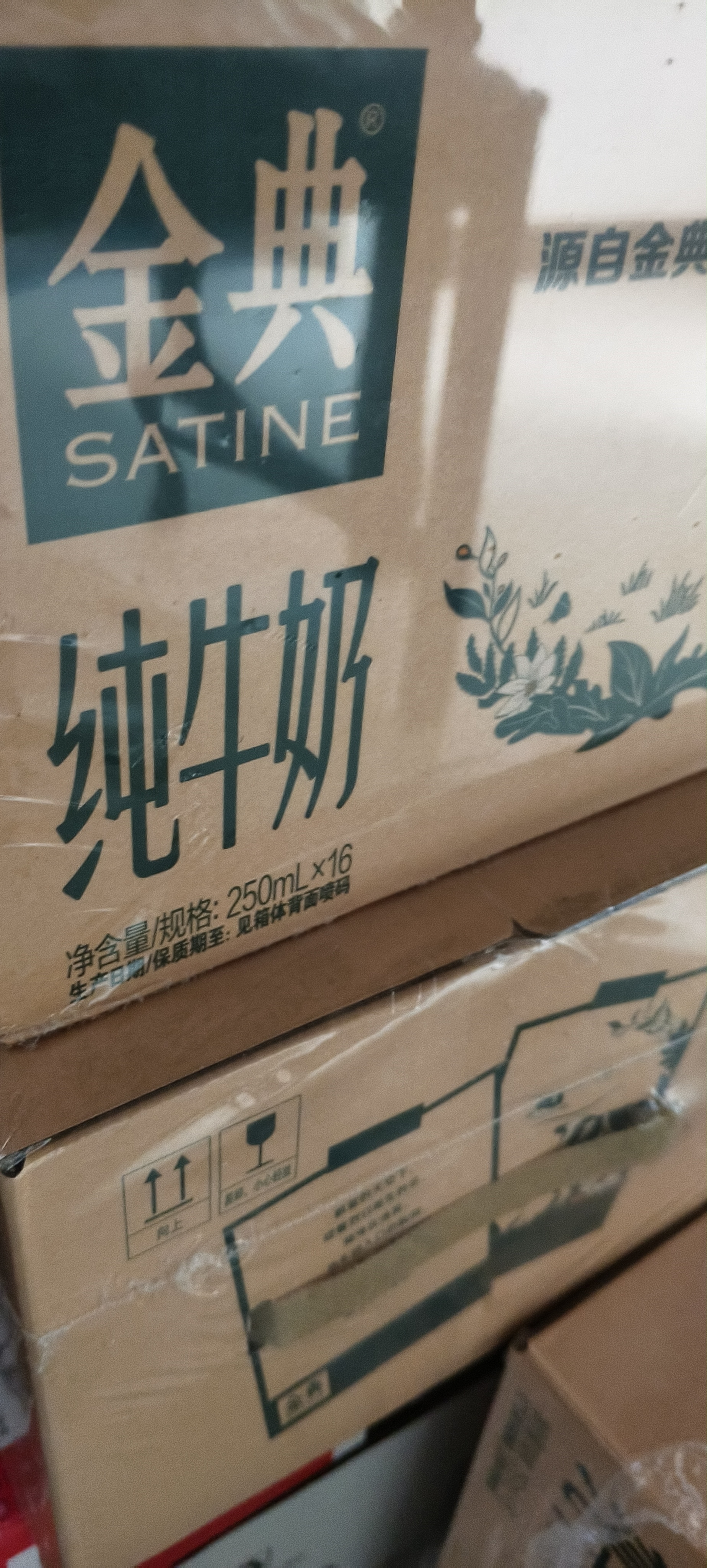 伊利【新鲜日期】金典纯牛奶早餐奶250ml*16盒3.6g 礼盒装 实拍图