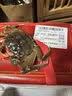 【活蟹】漁家师傅大闸蟹全母3.3-3.6两8只去绳足重鲜活螃蟹现货生鲜水产礼盒金秋送礼 实拍图