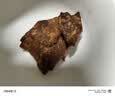 林安五香酱牛肉100g*5袋 卤牛肉牛腱子牛肉干熟食开袋即食休闲零食 实拍图