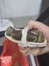 【活蟹】漁家师傅大闸蟹全母3.0-3.3两6只去绳足重鲜活现货螃蟹生鲜水产海鲜礼盒 实拍图