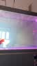 森森（SUNSUN）大型鱼缸底过滤水族箱客厅家用落地玻璃生态金鱼缸 【实时温显+灯控】纳米灰 1.2米长35cm宽 实拍图
