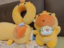 名创优品（MINISO）小猪B-BO玩偶抱枕娃娃公仔抱睡生日礼物女学生午睡枕趴趴bobo猪 实拍图