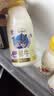 每日鲜语鲜牛奶 A2β-酪蛋白鲜牛奶185ml*6 巴氏杀菌乳 低温鲜奶 实拍图