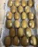 佳沛（zespri）新西兰金奇异果18粒优选果103-124g猕猴桃水果礼盒 实拍图