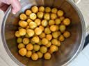 京觅东北姑娘果 净重3斤装 灯笼果黄菇娘洋菇茑 新鲜水果 源头直发 实拍图