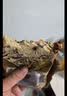 桃李全麦坚果厚切吐司420g手撕面包早餐营养早点整箱零食小吃糕点心 实拍图