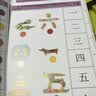 逻辑狗爱识字3-5岁男女孩儿童识字卡片早教机思维生日礼物 实拍图