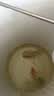 备能 日本黄粉鱼药烂身烂尾鱼用白点净水霉病头洞鱼缸专用杀菌药剂50g 实拍图