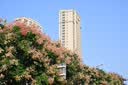 唯卓仕（VILTROX）AF 35mm F1.7 Z尼康口大光圈自动对焦人文定焦镜头适用于Z30 Z50 ZFC Z50II微单相机  实拍图