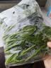 【24小时菜】菠菜苗250g(长度≤20cm) 实拍图