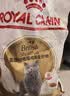皇家猫粮 英短成猫粮 BS34 通用粮 12月以上 10KG【宠物金选】 实拍图