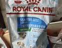 皇家狗粮 成犬狗粮 犬粮 宠物大型犬 GR26全价犬粮 ≥15月4KG 实拍图