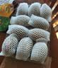 佳沛（zespri）新西兰金奇异果10个装单果重103-114g猕猴桃水果礼盒 实拍图