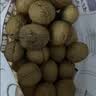 三只松鼠量贩袋装草本味纸皮核桃500g 每日坚果炒货休闲零食品 实拍图