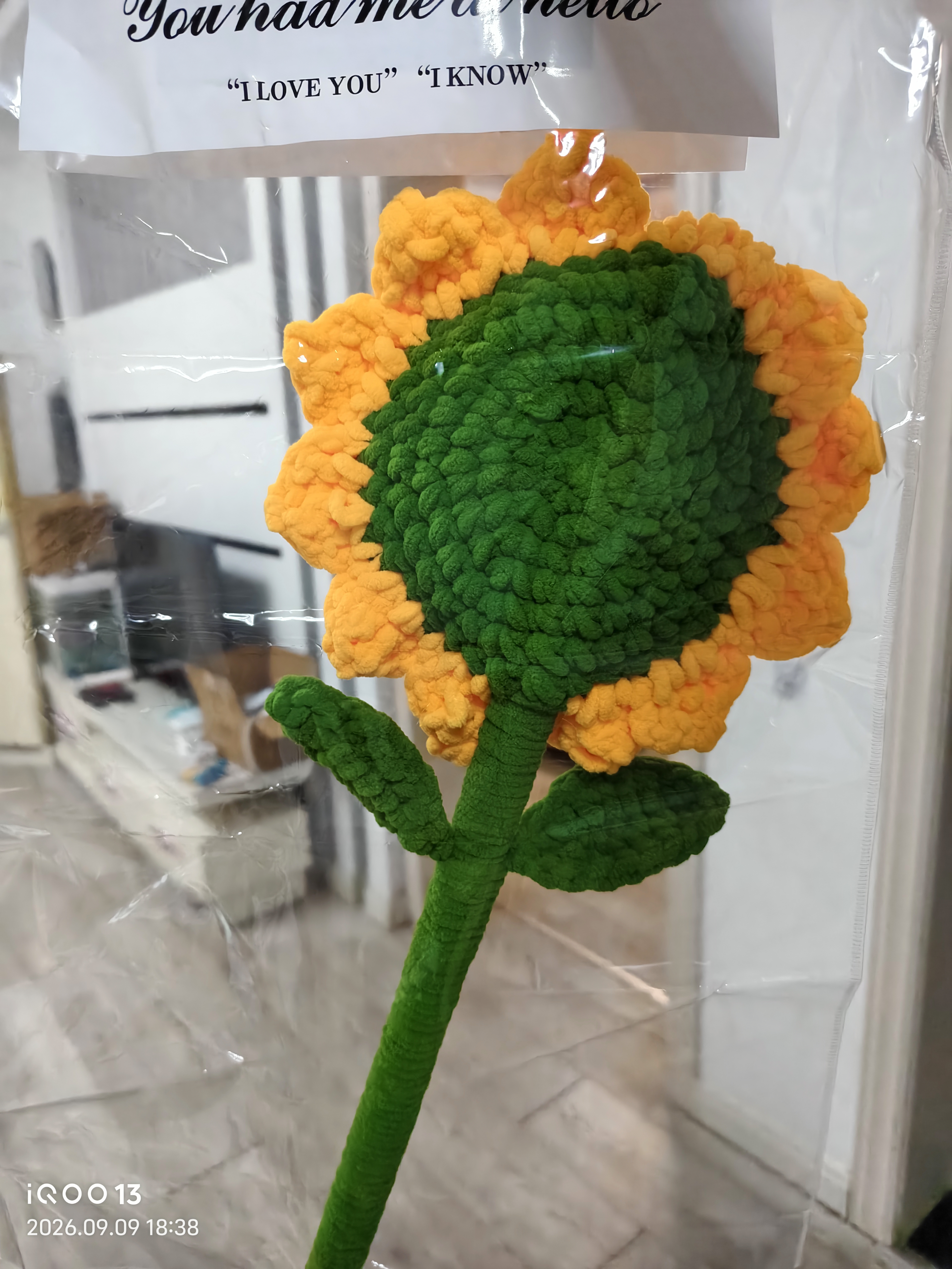 京东鲜花巨型向日葵花束编织永生花幼儿园生日礼物女士送女友老师儿童小众 实拍图