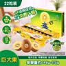 佳沛（zespri）新西兰金奇异果22粒巨大原箱146-175g猕猴桃水果礼盒 实拍图