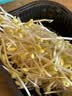有机黄豆芽200g 实拍图