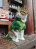 麦富迪猫粮 barf霸弗天然猫粮冻干生骨肉高蛋白成猫粮养胃增肌牛肉5.4kg 实拍图