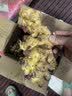 农多鲜 云南小黄姜 新鲜蔬菜现挖现发调味料火锅食材 产地直供 净重小黄姜5斤 精选小黄姜 实拍图
