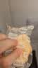 索菲亚冰激凌生牛乳芝士口味冰糕450g*1碗冰淇淋冷饮方糕 实拍图