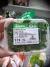 【免洗净菜】小葱香菜调味组合40g 实拍图