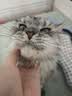 麦富迪猫粮 barf霸弗天然猫粮冻干生骨肉高蛋白成猫粮养胃增肌牛肉5.4kg 实拍图