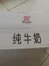 辉山自有牧场纯牛奶250ml*24盒 3.1g乳蛋白 100mg钙  营养牛奶 实拍图