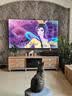 Panasonic Connect4K高清43/45/50/55/65/75/85/100英寸语音智能网络WiFi液晶平板家用电视机 75英寸 全面屏智能WiFi电视 实拍图