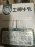 清蓝生椰牛乳300ml*8瓶鲜榨椰汁营养早餐奶动植物蛋白秋冬饮品饮料 实拍图