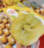 佳沛（zespri）新西兰金奇异果16粒经典果88-103g猕猴桃水果礼盒 实拍图