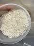柴火大院 五常大米 5斤  （东北大米 一人食 2.5kg） 实拍图