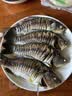 特瑞肯（TRICON）烤肉蘸料烧烤撒料香辣口味东北齐齐哈尔风味干碟500g 实拍图