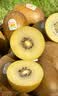 佳沛（zespri）新西兰 金奇异果特大果15粒134-146g猕猴桃水果礼盒 实拍图