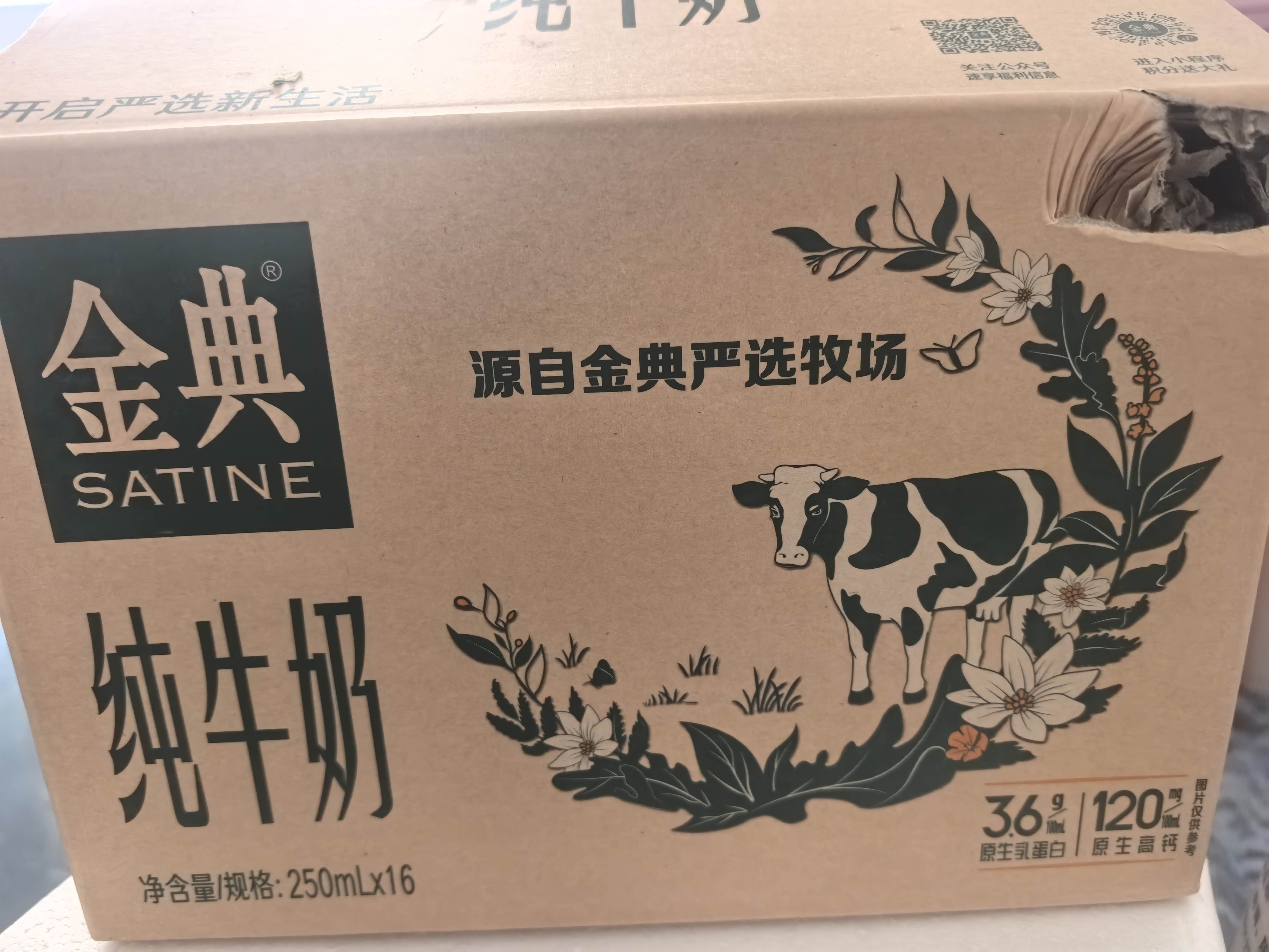 伊利【新鲜日期】金典纯牛奶早餐奶250ml*16盒3.6g 礼盒装 实拍图