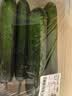 【水果菜】荷兰水果黄瓜约400g 实拍图