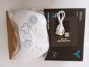 飞智沙漠狐 冰魄蓝 多模版无线游戏手柄 类xbox霍尔扳机switch2电脑PC手机steamNS 星露谷物语影之刃零 实拍图