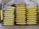 比比赞（BIBIZAN）芝士咸味饼干760g办公室早餐糕点充饥夜宵小吃整箱网红休闲零食品 实拍图