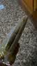 白象【孙颖莎推荐】低GI食品无盐0钠荞麦面70%苦荞麦100g*5包粗粮面条 实拍图