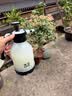 大卫喷壶浇花喷雾器气压式喷水壶压力酒精消毒家用清洁园艺喷壶K29 实拍图