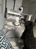 领先全价成犬主食罐狗罐头营养湿粮鸭肉梨配方120g*6罐 实拍图