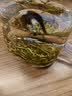 谢裕大绿茶雅韵黄山毛峰2026新茶特级三等150g*2听罐装自饮口粮茶叶送礼 实拍图